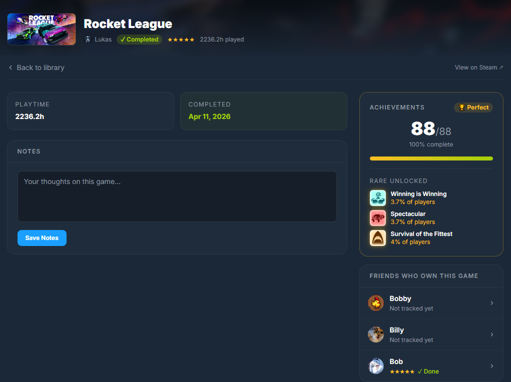 Game detail page showing achievements, playtime and personal notes